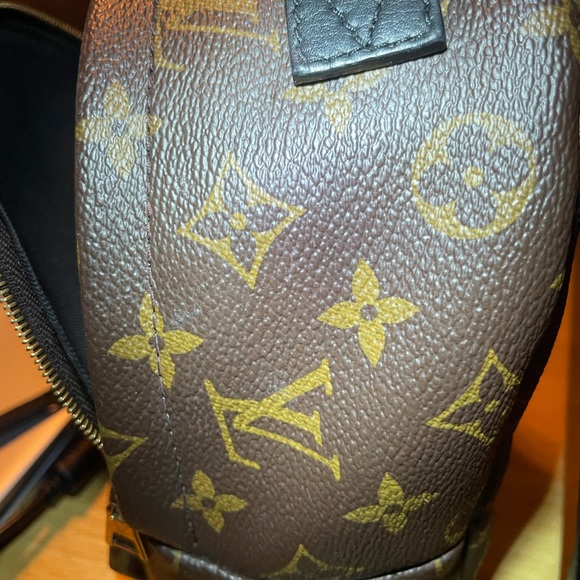 Louis Vuitton Palm Springs Mini main image 5